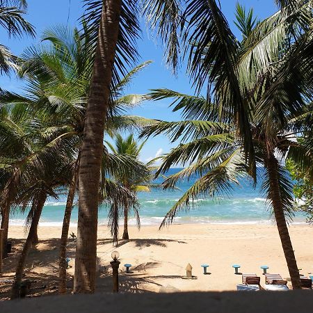Oasey Ayurveda Hotel Bentota Eksteriør bilde